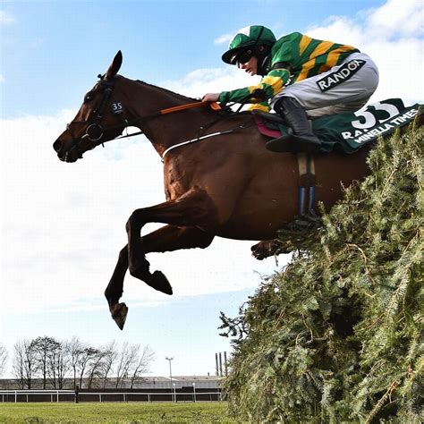 Grand National Free Bet Calculator .